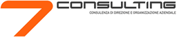 7 Consulting s.r.l.